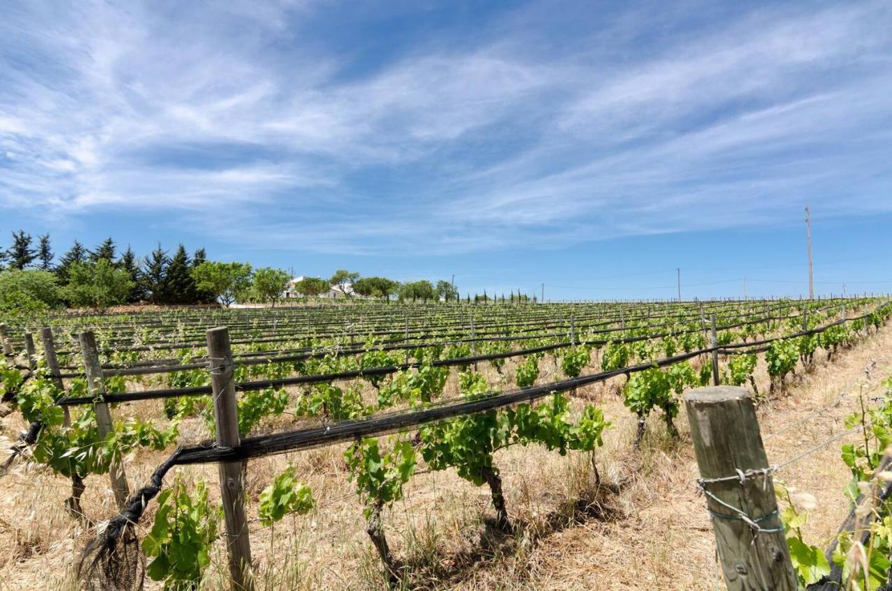 Casas Na Vinha - Monte Da Casteleja, Wine Estate - Eco Turismo Rural Lagos Zewnętrze zdjęcie