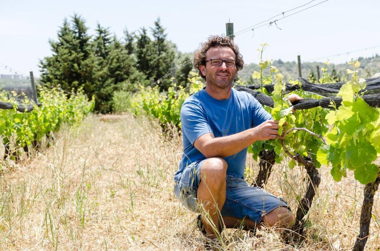 Casas Na Vinha - Monte Da Casteleja, Wine Estate - Eco Turismo Rural Lagos Zewnętrze zdjęcie
