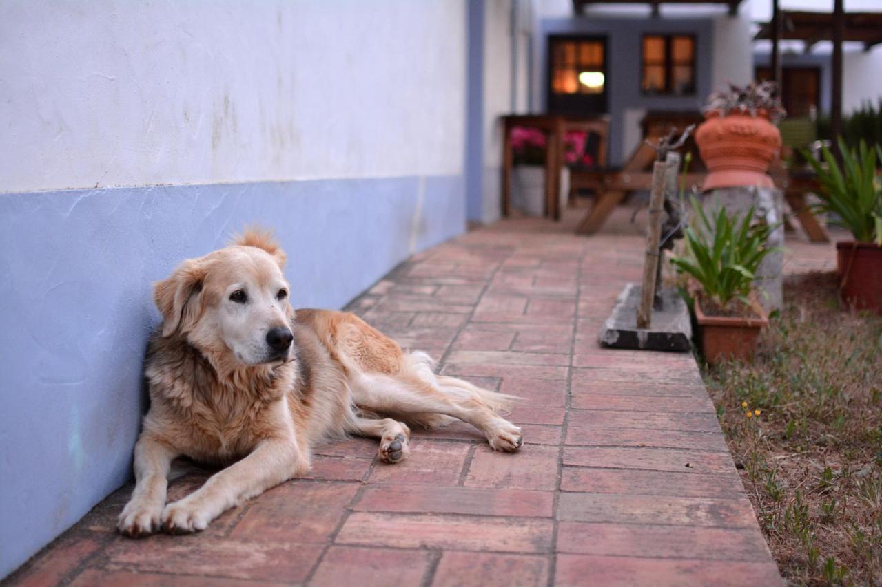 Casas Na Vinha - Monte Da Casteleja, Wine Estate - Eco Turismo Rural Lagos Zewnętrze zdjęcie